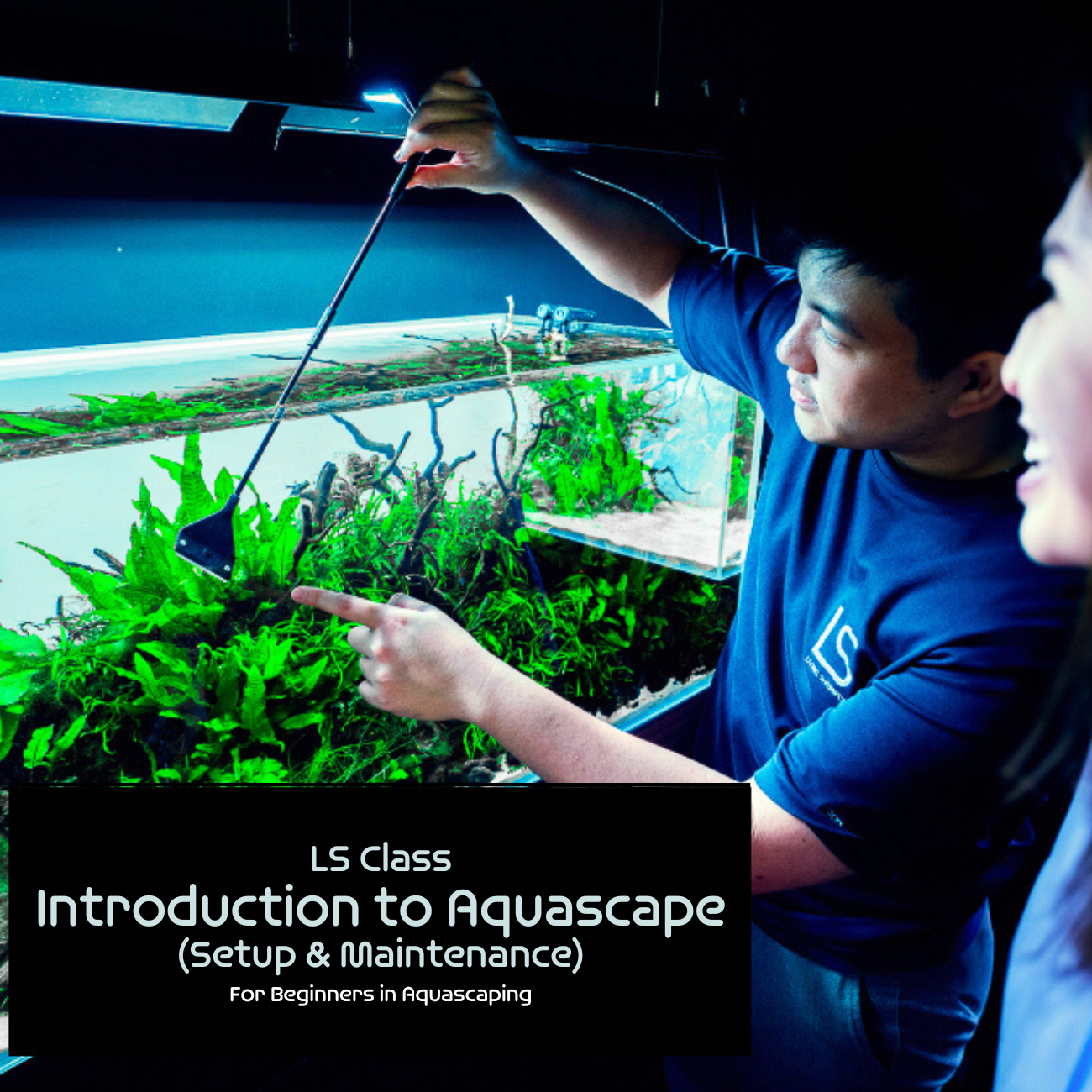 LS Class: Introduction to Aquascape (Setup & Maintenance)