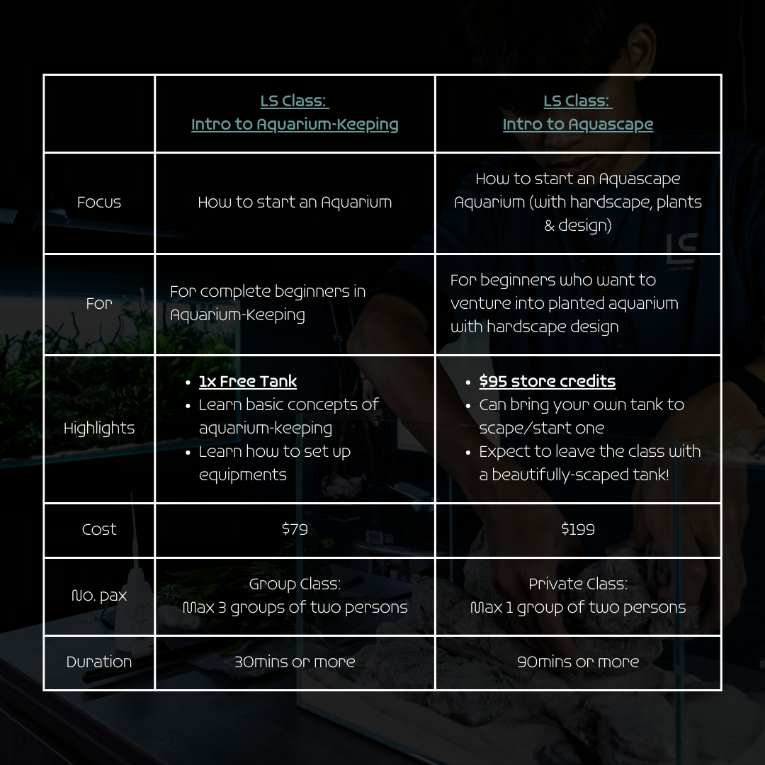 LS Class: Introduction to Aquarium-Keeping