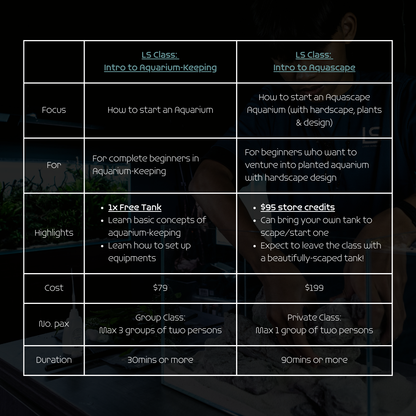 LS Class: Introduction to Aquarium-Keeping