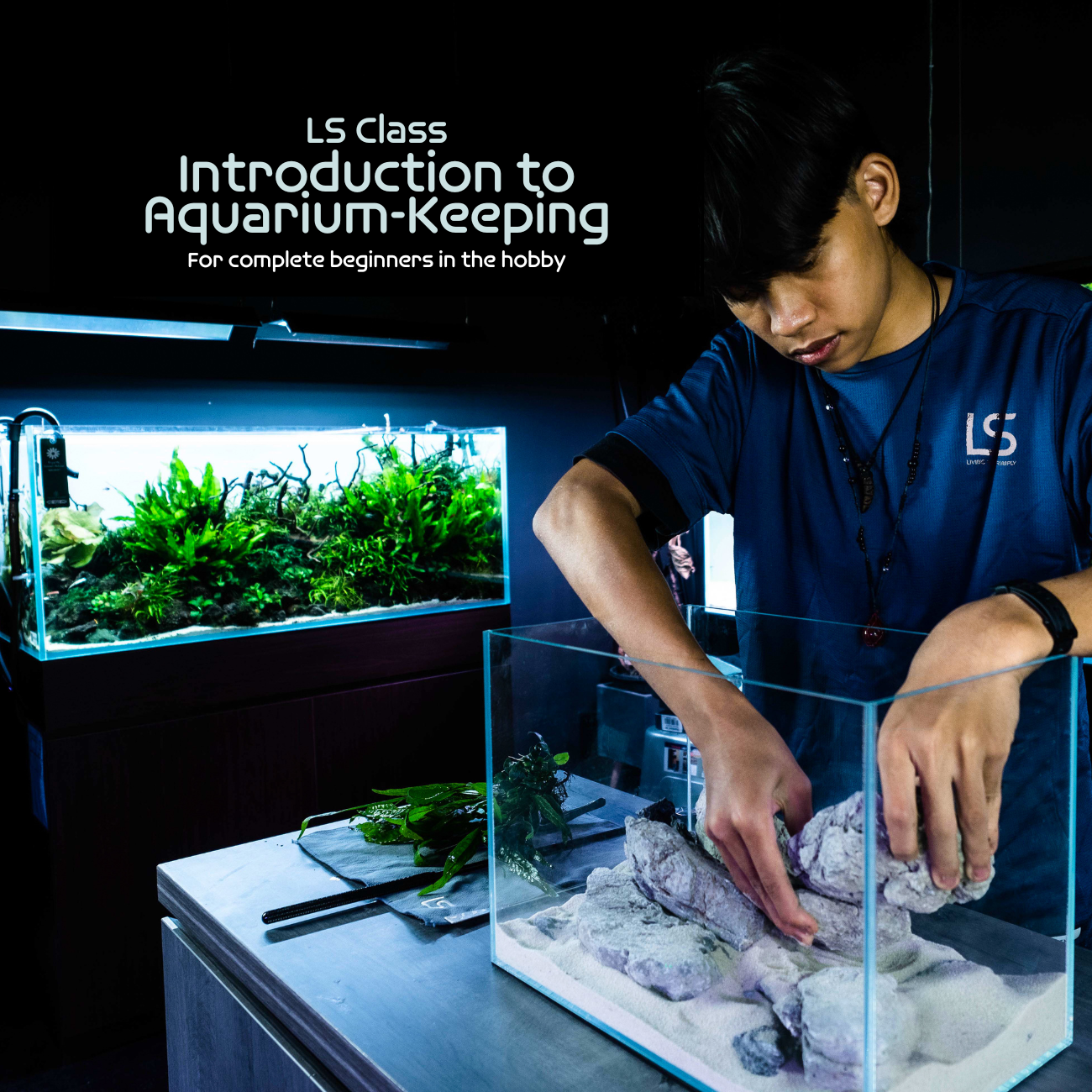 LS Class: Introduction to Aquarium-Keeping