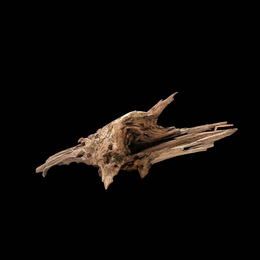 Chinese Driftwood