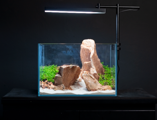 Aquatic Farmer Tank