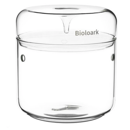 Bioloark Bubble and Dew Glass Cups