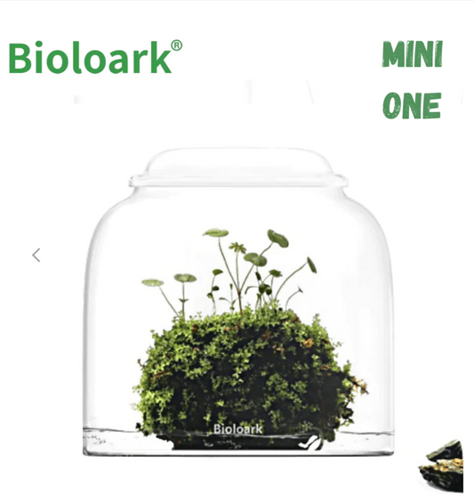 Bioloark Bubble and Dew Glass Cups