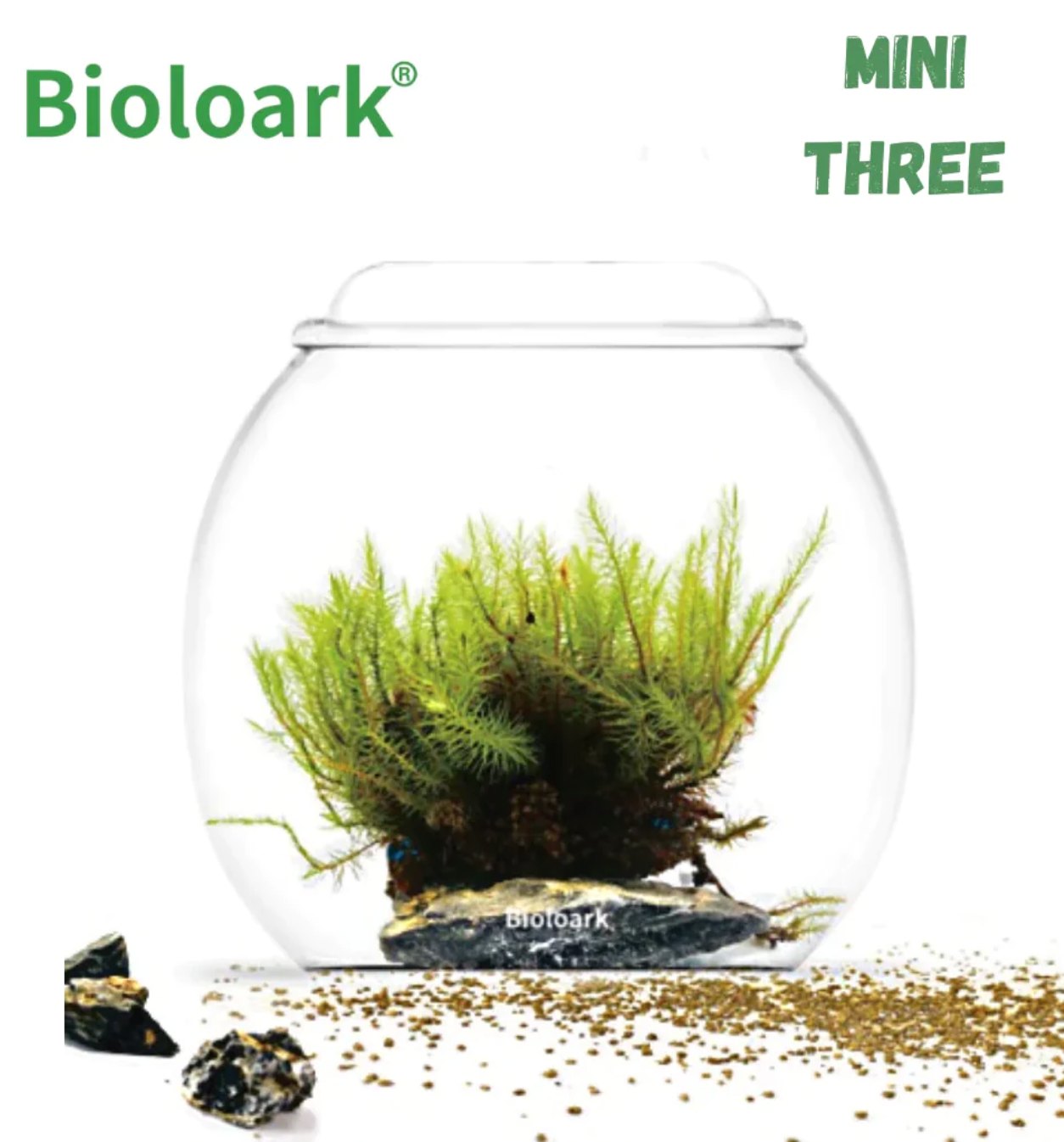 Bioloark Bubble and Dew Glass Cups