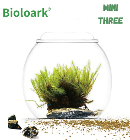 Bioloark Bubble and Dew Glass Cups