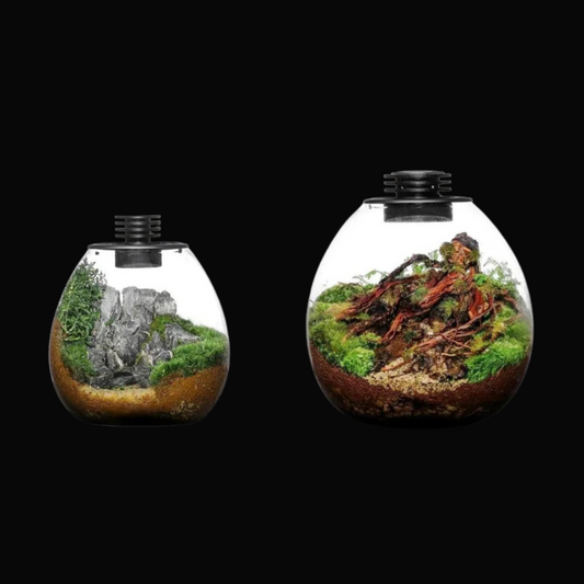 Bioloark PD Terrariums