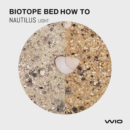 Nautilus Light Riverbed