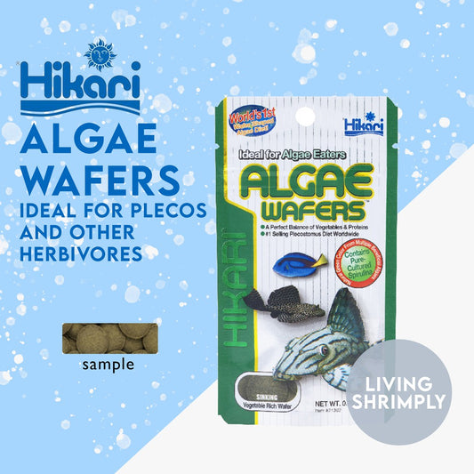 Hikari Algae Wafer For Plecos And Other Herbivores