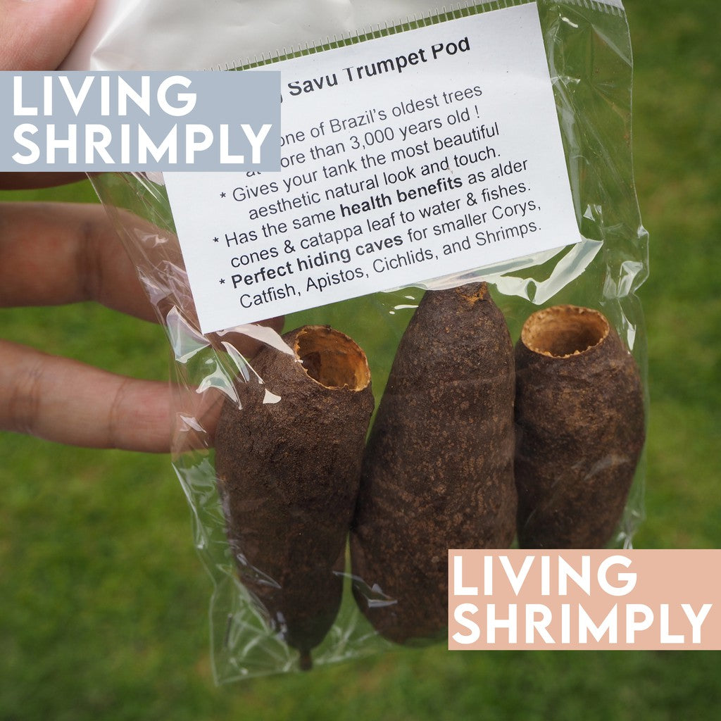 [NEW IN] All Natural Dried Pods Feed For Shrimps