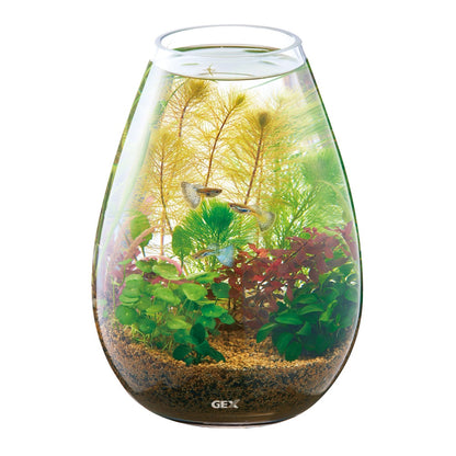 GEX Glass Aquarium Candle Tear Slope Shape