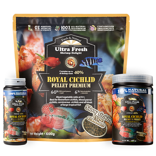 AZOO Plus Ultra Fresh Royal Cichlid Premium