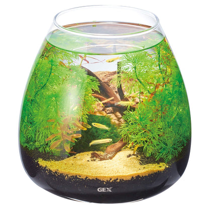 GEX Glass Aquarium Candle Tear Slope Shape