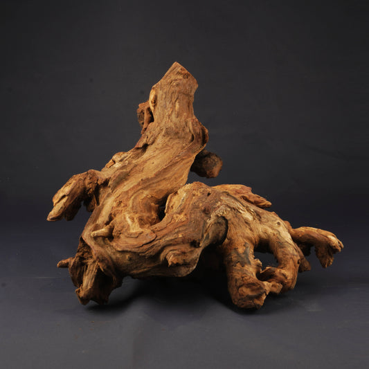 Coral Driftwood