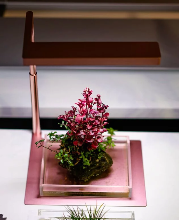 Flat Nano Desktop Plant Lighting