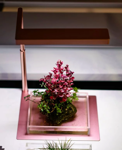 Flat Nano Desktop Plant Lighting