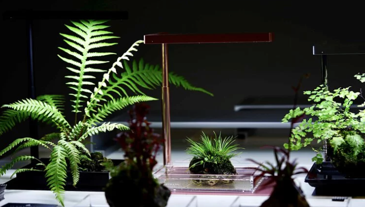 Flat Nano Desktop Plant Lighting