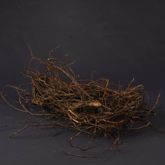 Senggani Roots
