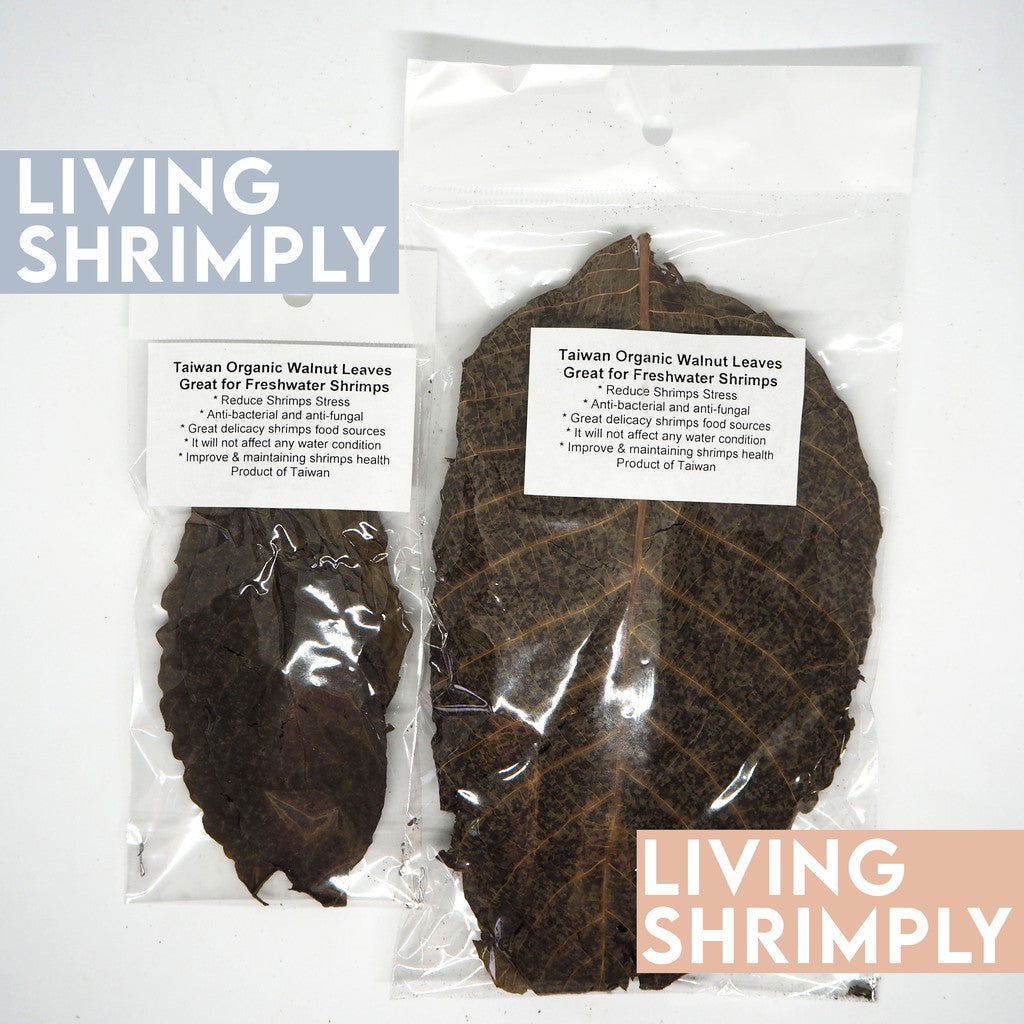 Dried Mulberry & Walnut Leaves