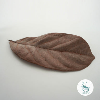 Dried Mulberry & Walnut Leaves