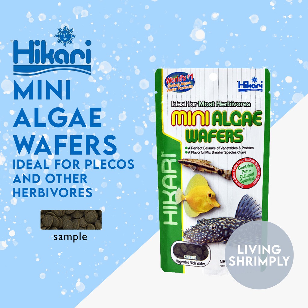 Hikari Tropical Mini Algae Wafer