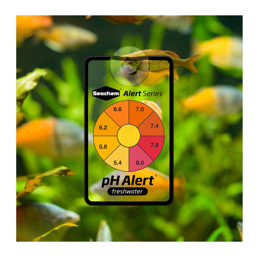 SEACHEM Ammonia pH Alert Stick-On-Tank Ammonia Reading