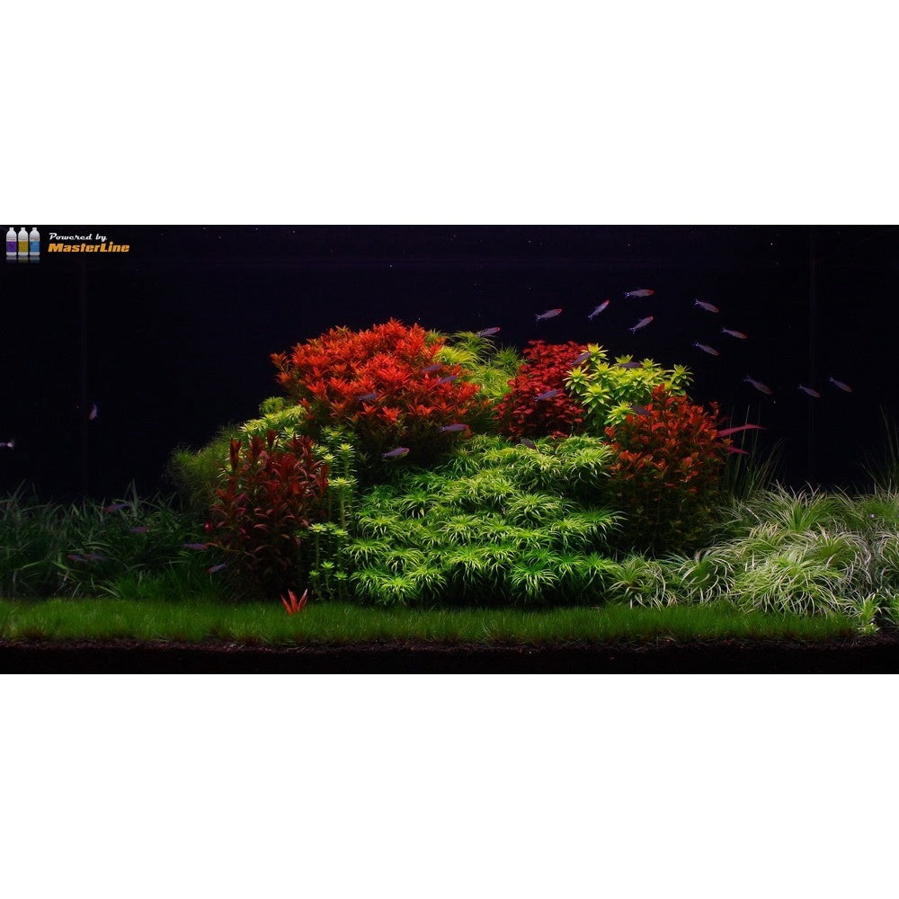 Masterline Planted Aquarium Fertilizer All-In-One Golden